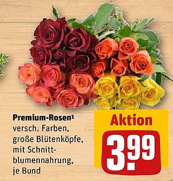 Premium-Rosen¹ versch. Farben, große Blütenköpfe, mit Schnittblumenahrung, je Bund