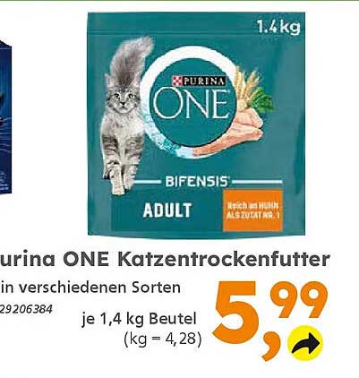 Purina ONE Katzentrockenfutter in verschiedenen Sorten