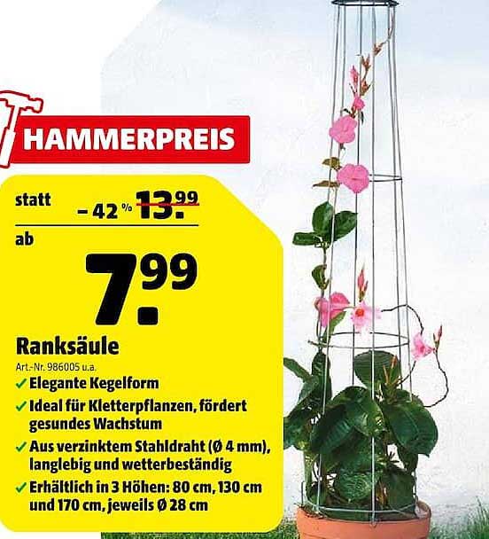 Ranksäule