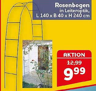 Rosenbogen in Leiteroptik, L 140 x B 40 x H 240 cm