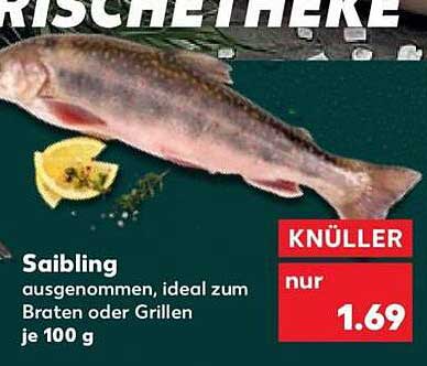 Saibling