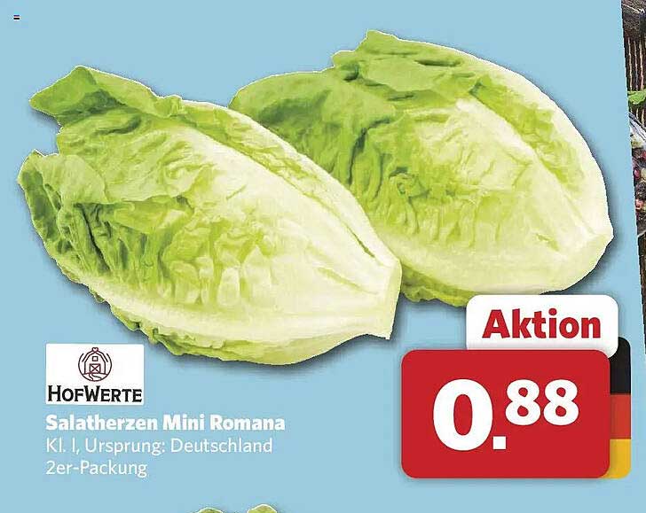 Salatherzen Mini Romana