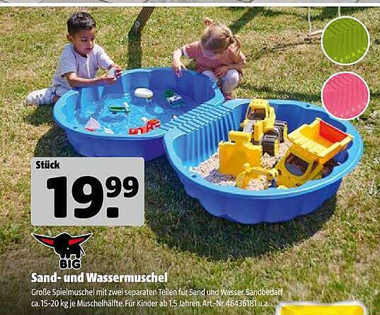 Sand- und Wassermuschel