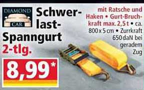 Schwer-last-Spanngurt 2-tlg.