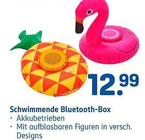 Schwimmende Bluetooth-Box