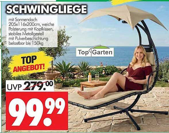 SCHWINGLIEGE