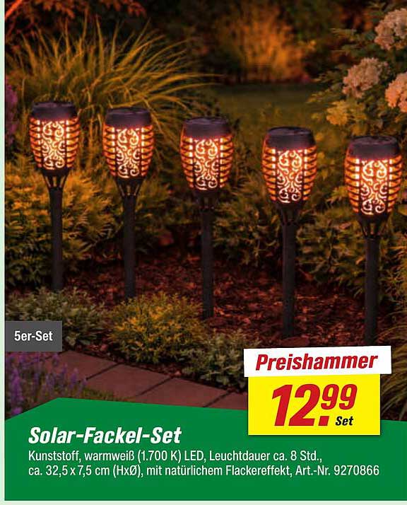 Solar-Fackel-Set
