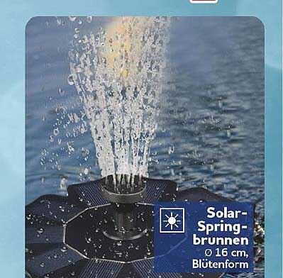 Solar-Springbrunnen Ø 16 cm, Blütenform