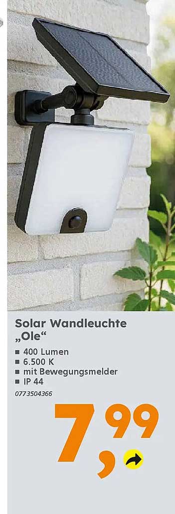 Solar Wandleuchte „Ole“
