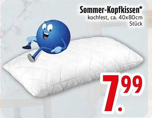 Sommer-Kopfkissen* kochfest, ca. 40x80cm Stück