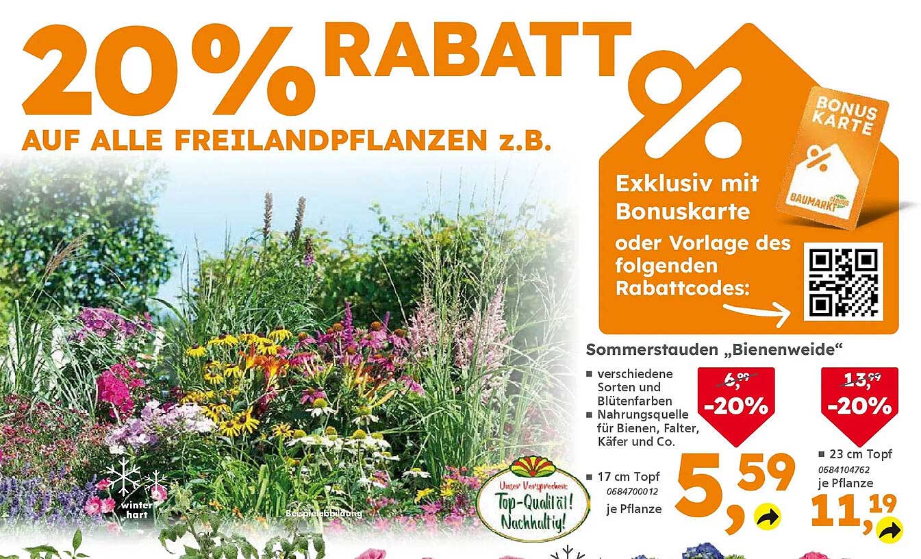 Sommerstauden „Bienenweide“