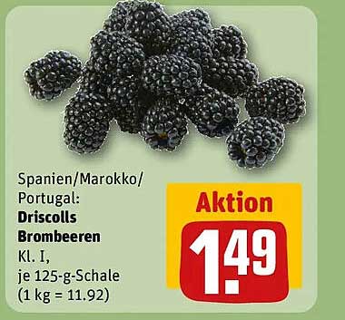 Spanien/Marokko/Portugal: Driscolls Brombeeren Kl. I, je 125-g-Schale (1 kg = 11.92) Aktion
