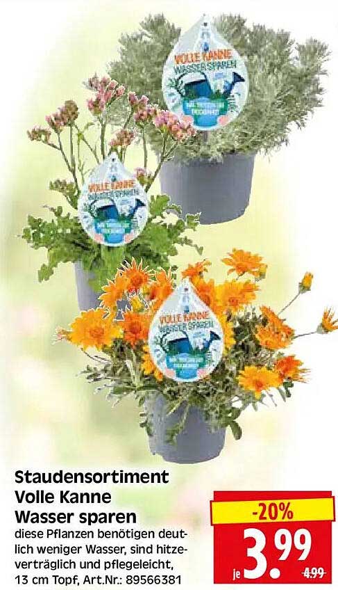 Staudensortiment Volle Kanne Wasser sparen