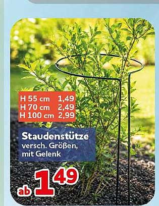 Staudenstütze versch. Größen, mit Gelenk