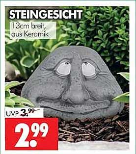 STEINGESICHT