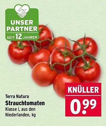 Terra Natura Strauchtomaten