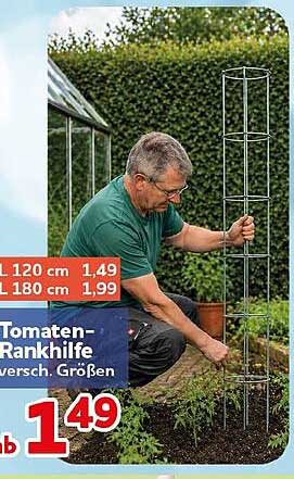 Tomaten-Rankhilfe versch. Größen