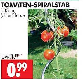 TOMATEN-SPIRALSTAB