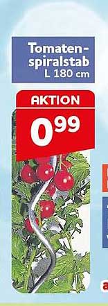 Tomaten-spiralstab L 180 cm