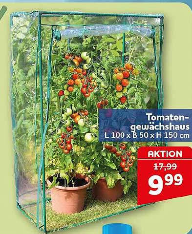 Tomatengewächshaus L 100 x B 50 x H 150 cm