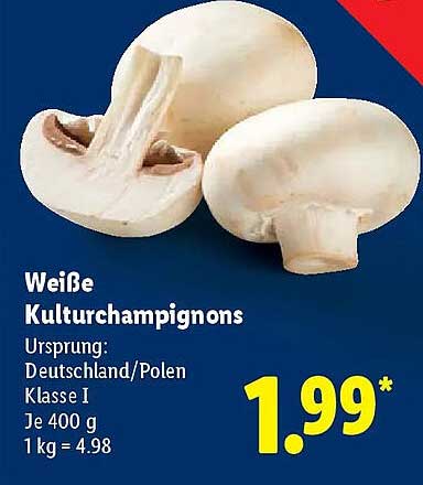 Weiße Kulturchampignons