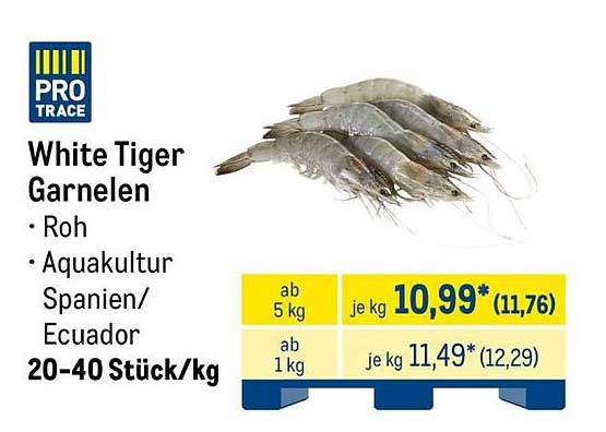 White Tiger Garnelen