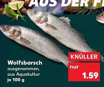 Wolfsbarsch