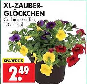 XL-ZAUBER-GLÖCKCHEN