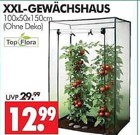 XXL-GEWÄCHSHAUS 100x50x150cm (Ohne Deko) Top Flora