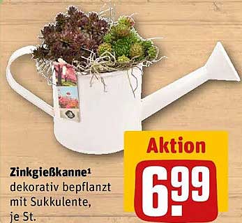 Zinkgießkanne¹ dekorativ bepflanzt mit Sukkulente, je St.