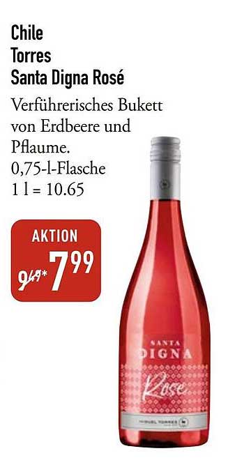 Chile Torres Santa Digna Rosé