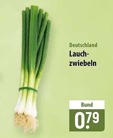 Deutschland Lauchzwiebeln