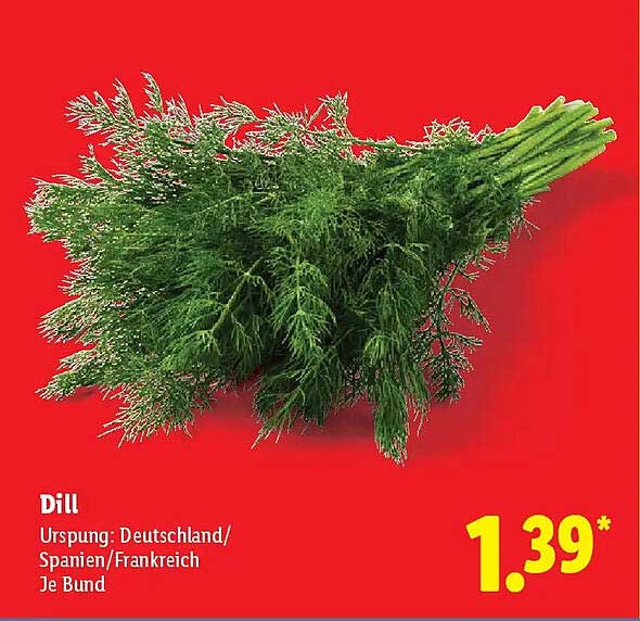 Dill