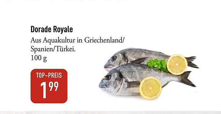 Dorade Royale