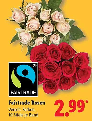Fairtrade Rosen