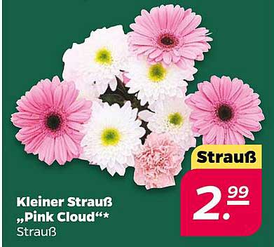 Kleiner Strauß „Pink Cloud“*