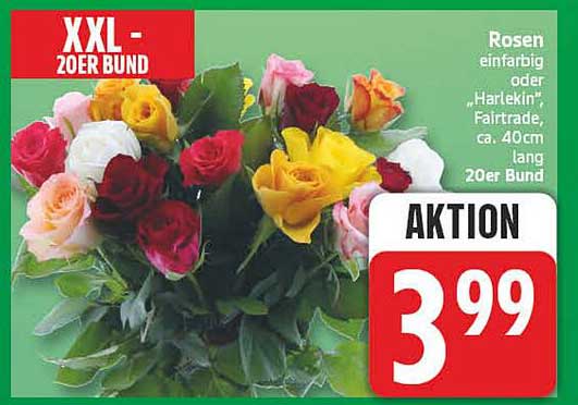 XXL-20ER BUND