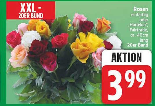 XXL - 20ER BUND