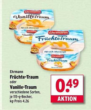 Ehrmann Früchte-Traum oder Vanille-Traum - Aktionspreis