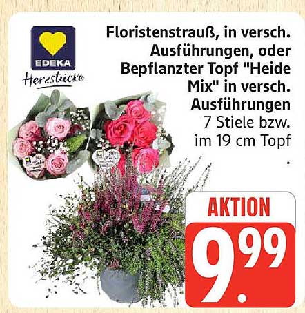 Floristenstrauß in verschiedenen Ausführungen oder bepflanzter Topf "Heide Mix"