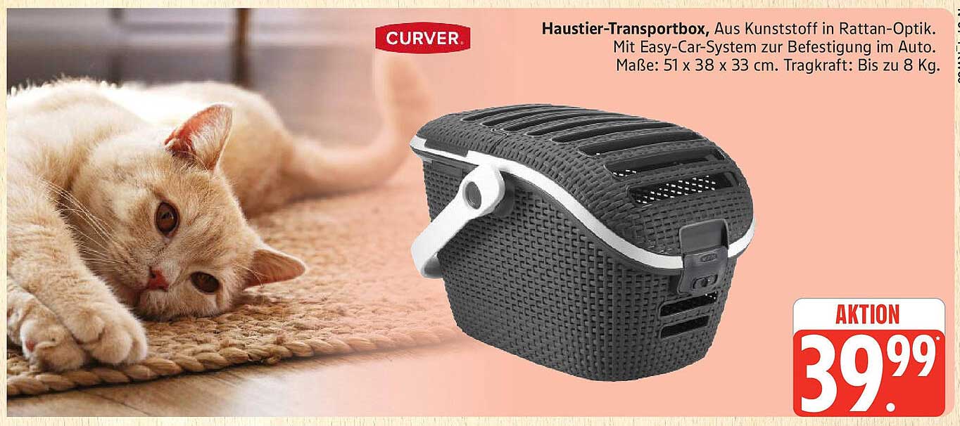 Haustier-Transportbox aus Kunststoff in Rattan-Optik