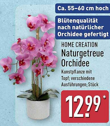 HOME CREATION Naturgetreue Orchidee