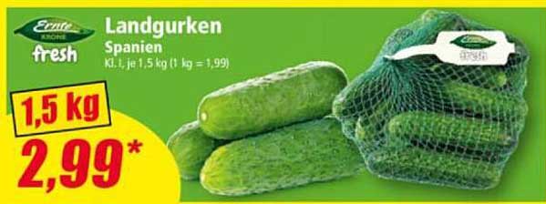 Landgurken Spanien 1,5 kg für nur 2,99 €