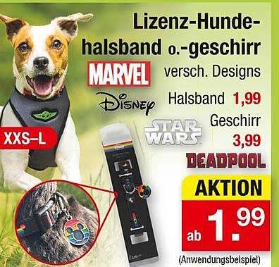 Lizenz-Hunde-Halsband oder -Geschirr in verschiedenen Designs