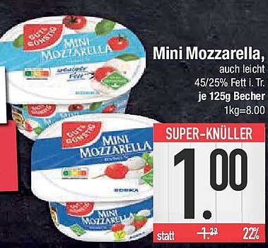 Mini Mozzarella, auch leicht 125g