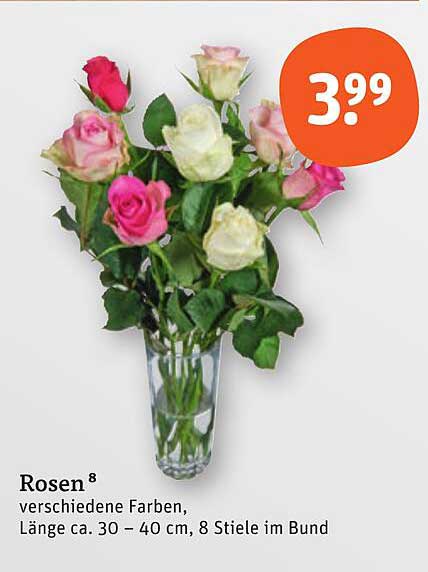 Rosen 8 verschiedene Farben, Länge ca. 30 – 40 cm, 8 Stiele im Bund