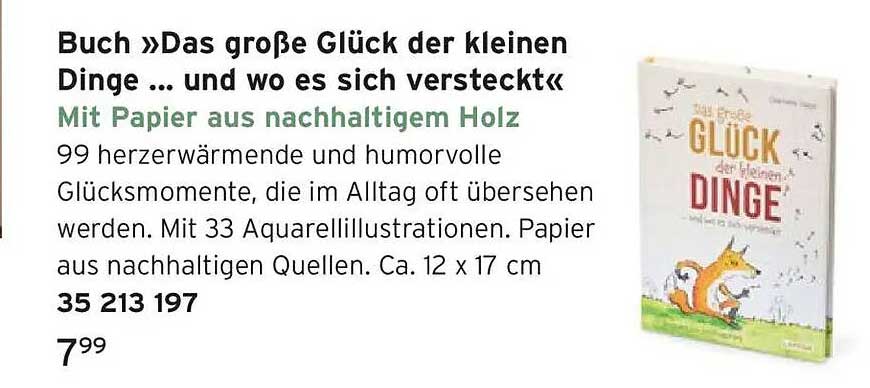 Buch »Das große Glück der kleinen Dinge ... und wo es sich versteckt«