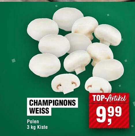 Champignons Weiß 3 kg Kiste