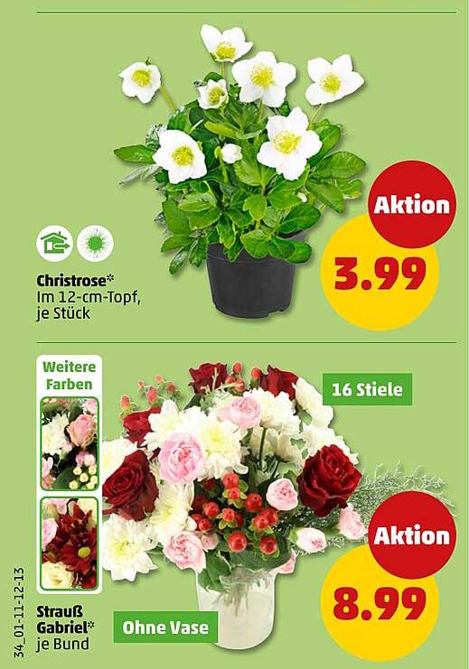 Christrose im 12-cm-Topf, je Stück