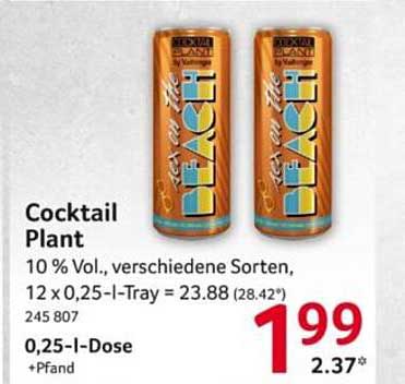 Cocktail Plant – Genuss in jeder Dose